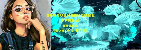 дурь Баксан