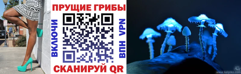 Псилоцибиновые грибы Magic Shrooms  купить закладку  Тосно 